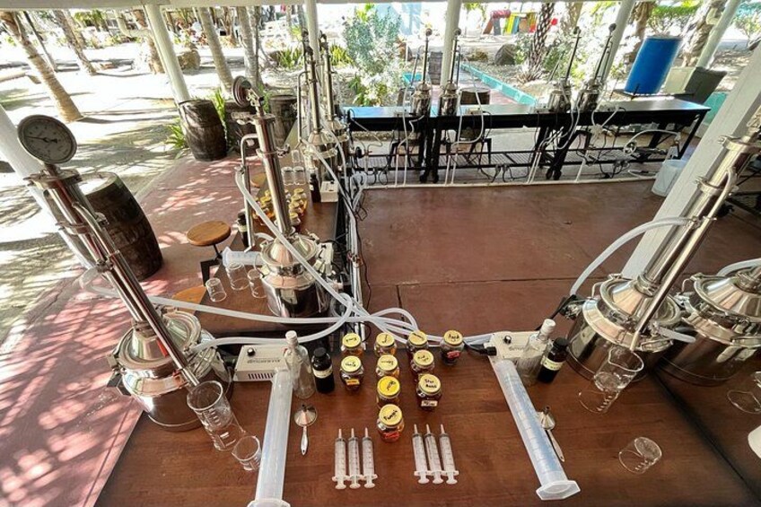 the set-up 1