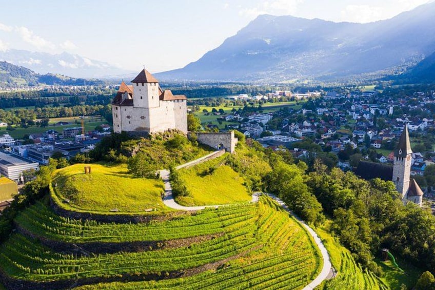 A castle on a hill, vineyards, and a town below. 1