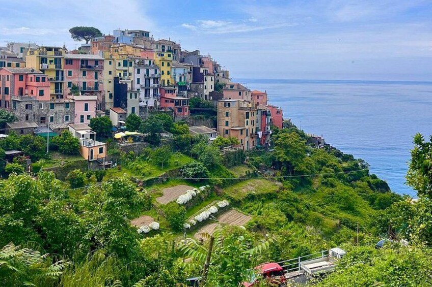 Cinque Terre PrivateTour by van from Lucca, Pisa or LaSpezia Port 2