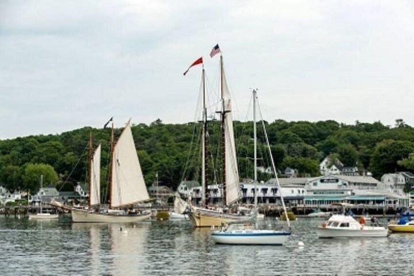 A harbor with sailboats, a large building with a green roof, and a forested hill in the background. 2