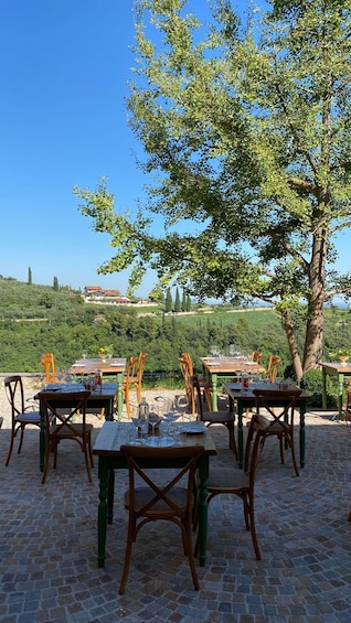 Picture 2 for Activity Verona: Wine Tasting with Snacks and Panoramic Views 2