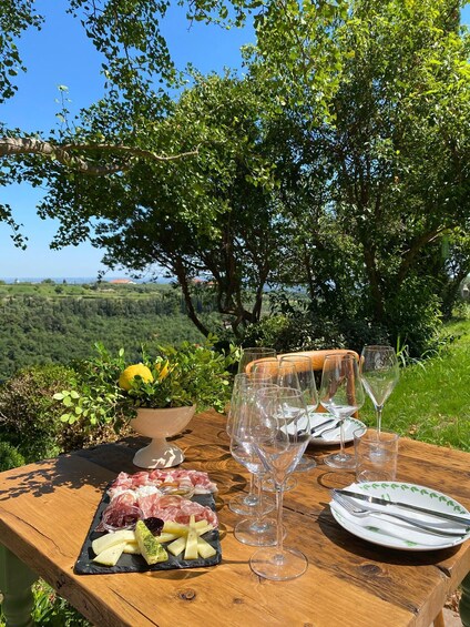 Picture 5 for Activity Verona: Wine Tasting with Snacks and Panoramic Views 4