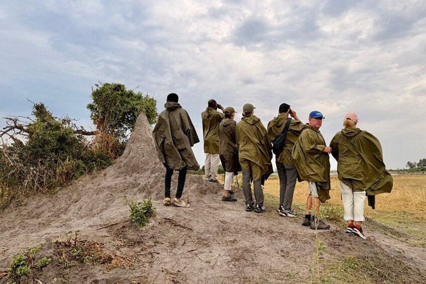 A group of people in outdoor attire walking on a dirt path with a mound in the foreground. 2