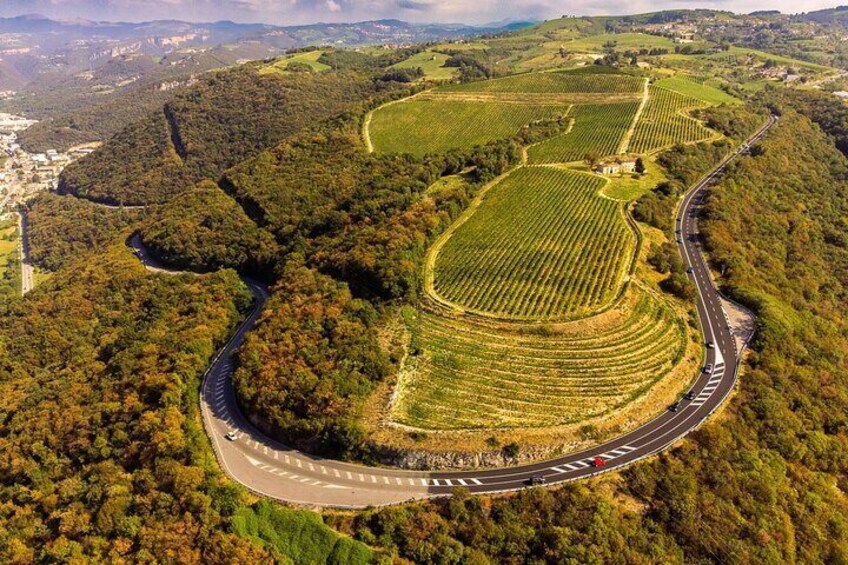 Tasting of Valpolicella Wines Tradition and Modernity