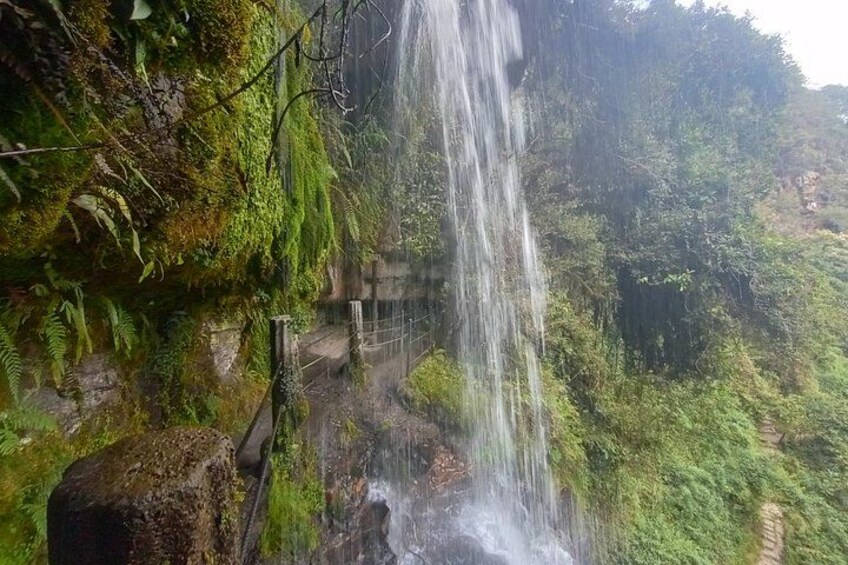 A waterfall cascading down a moss-covered cliff surrounded by dense forest. 5