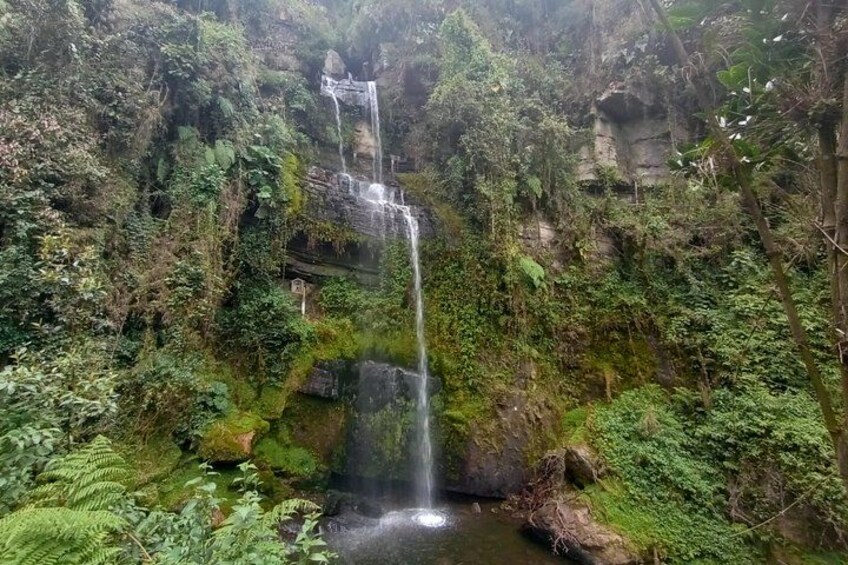A waterfall cascading down a rocky cliff surrounded by lush greenery. 2