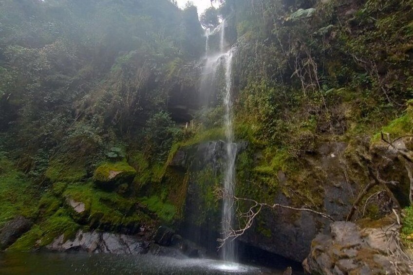 A waterfall cascading into a pool surrounded by lush greenery and rocky terrain. 3
