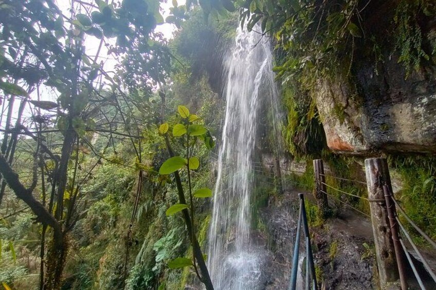 A waterfall cascading down a rocky cliff surrounded by lush greenery. 4