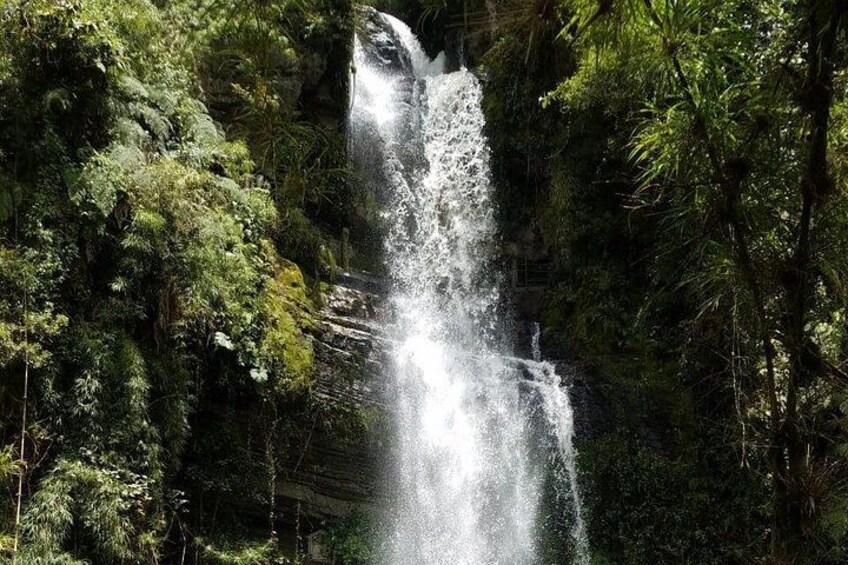 A waterfall surrounded by dense forest. 1