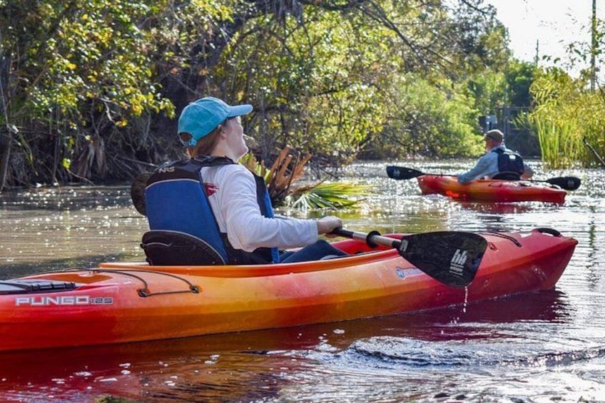 Dos personas hacen kayak en un río tranquilo bordeado de vegetación densa. 2