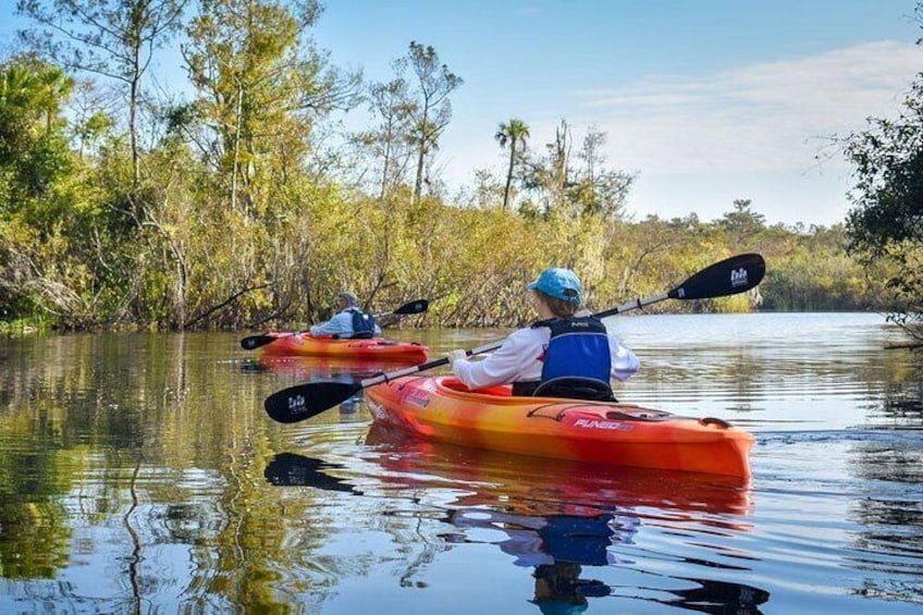 Everglades Guided Kayak Tour 3