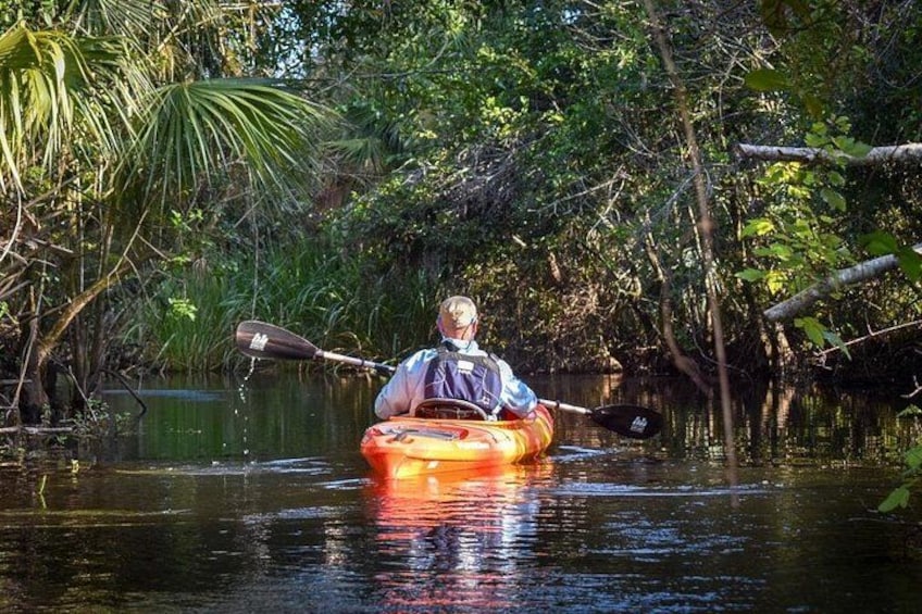 A person kayaking on a calm river surrounded by dense foliage. 1