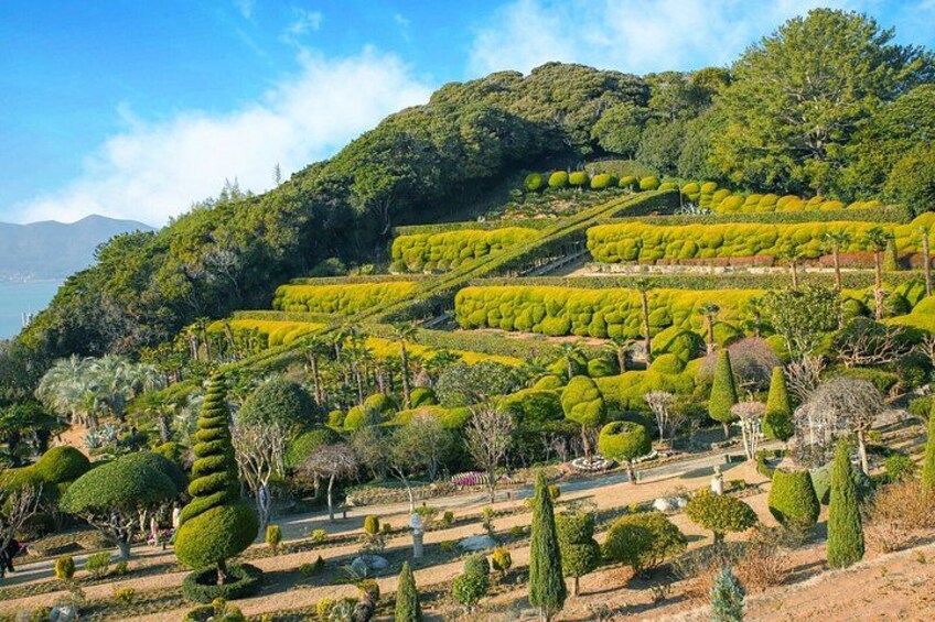 A landscaped garden with neatly trimmed hedges and trees. 4