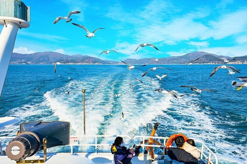 Geoje Cable Car and Oedo Botania Coastal Day Tour from Busan 3