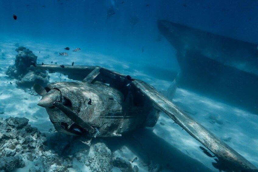 Private Mask and Snorkel Fins Tour 1