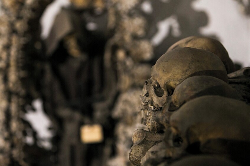 A collection of human skulls in a dimly lit, aged setting. 3