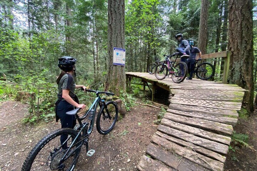 Half Day Mountain Bike Tour from Seattle