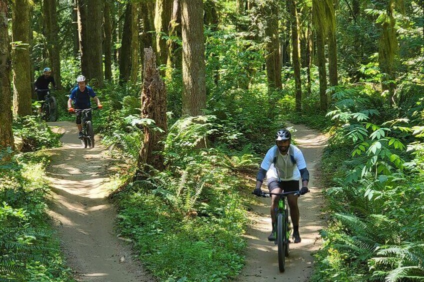 Half Day Mountain Bike Tour from Seattle