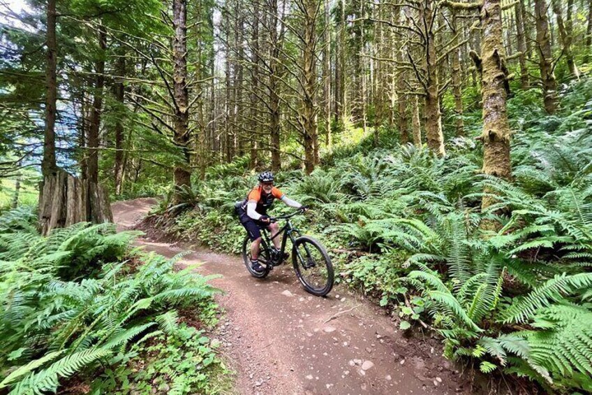 Half Day Mountain Bike Tour from Seattle