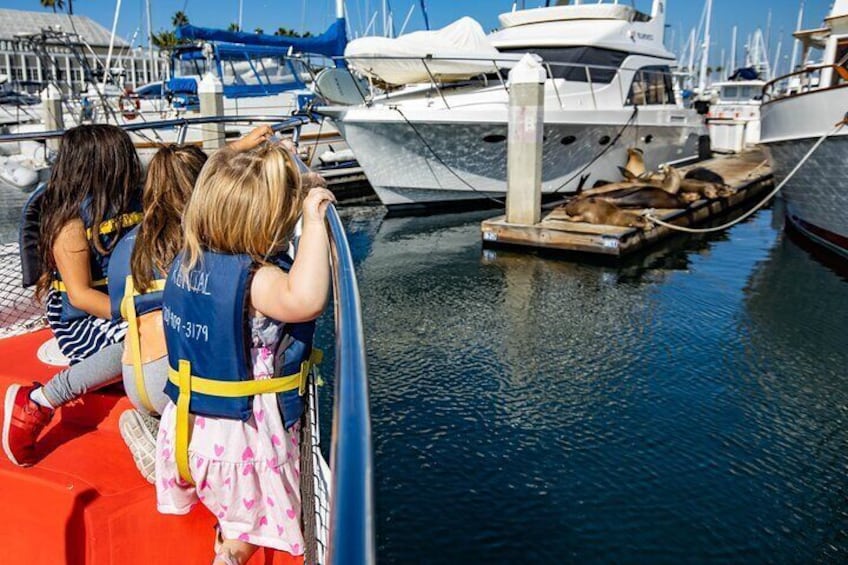 Three people wearing life jackets at a marina with boats docked. 4