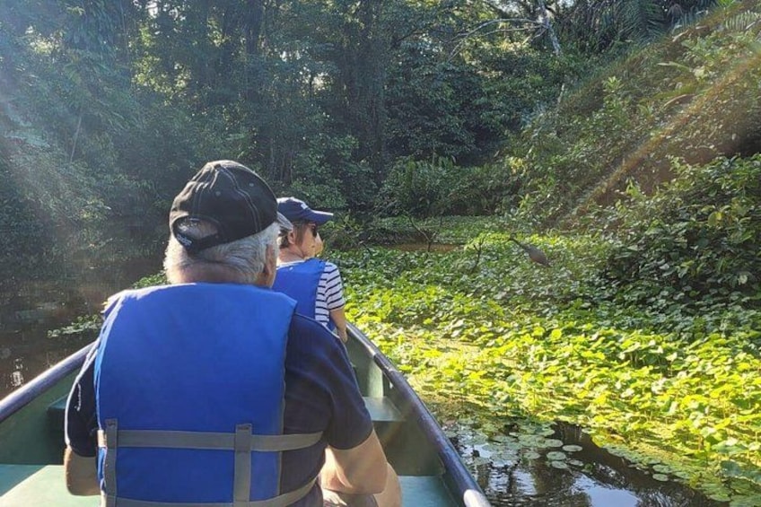 A person in a boat wearing a life jacket, surrounded by greenery and water. 4