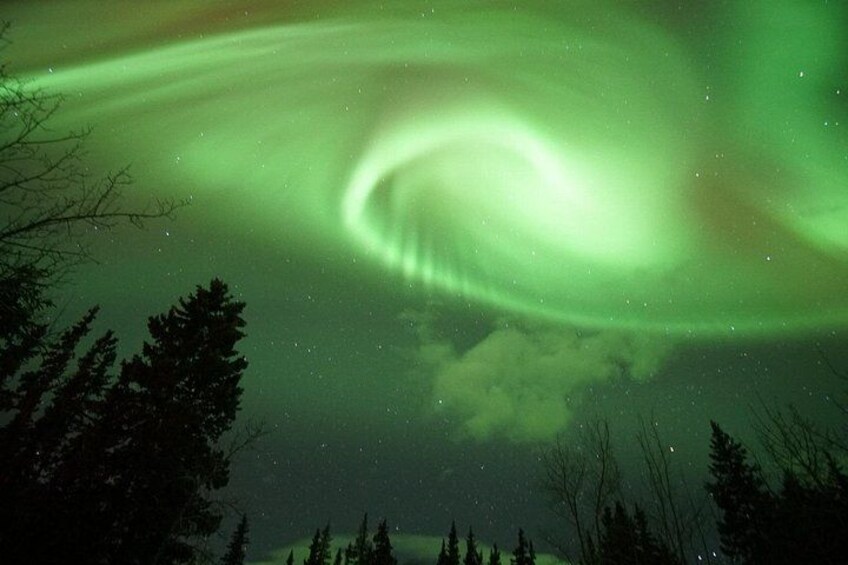 Cielo nocturno con la aurora boreal, un espectáculo de luces verdes y siluetas de árboles. 3