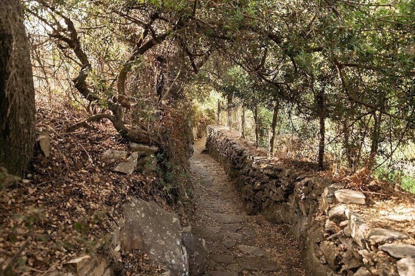 Naxos Half Day History and Culture Guided Tour 3