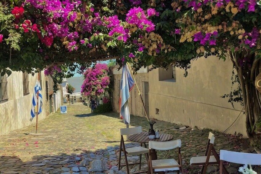 Colonia del Sacramento - Regular Tour 4