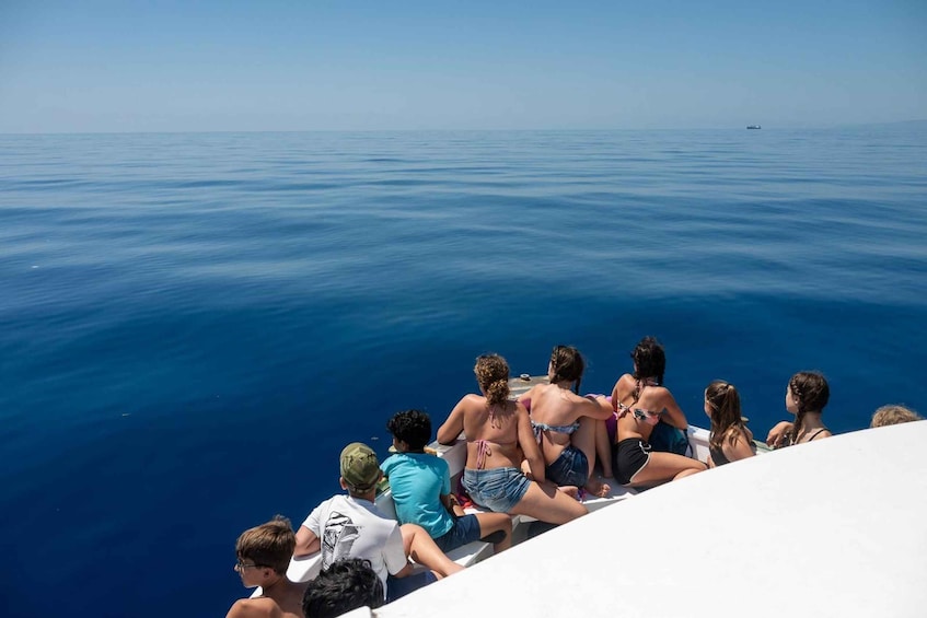 Picture 15 for Activity Savona: Exclusive Wildlife Cruise in the Pelagos Sanctuary 2
