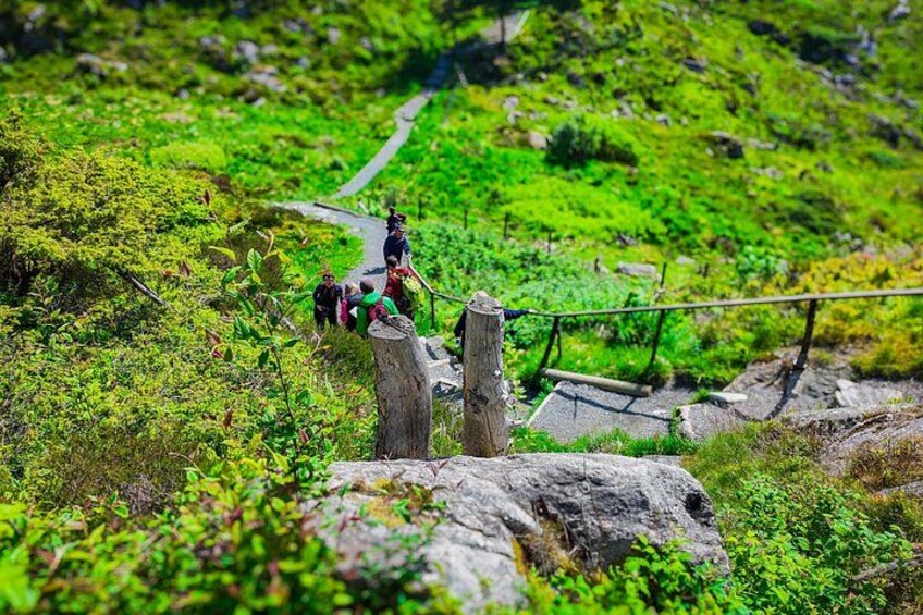 A hiking trail with people walking, surrounded by lush greenery and rocky terrain. 3