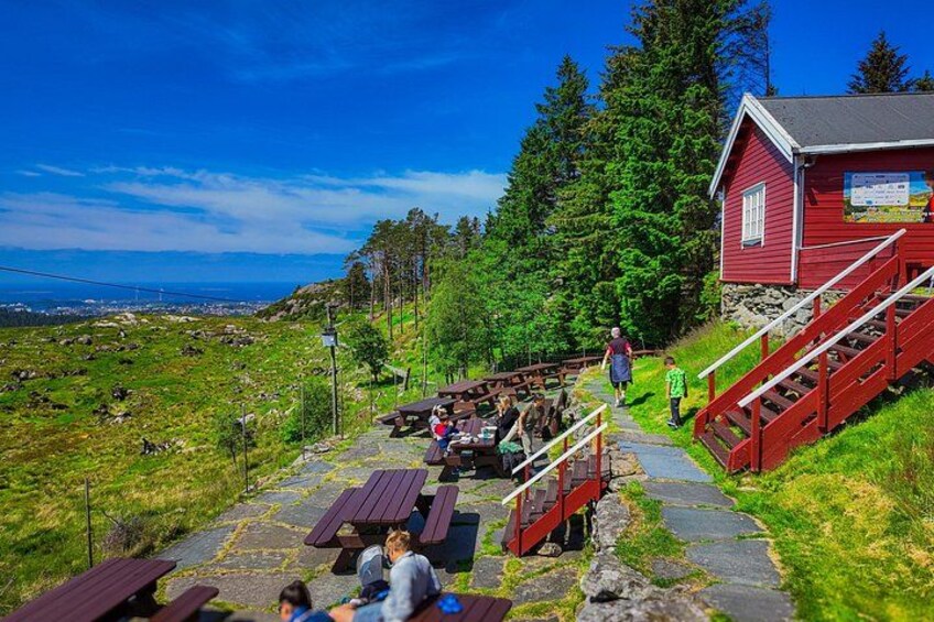 Scenic tour to Steinsfjellet, locals at Kringsjå & Rising Tide 1
