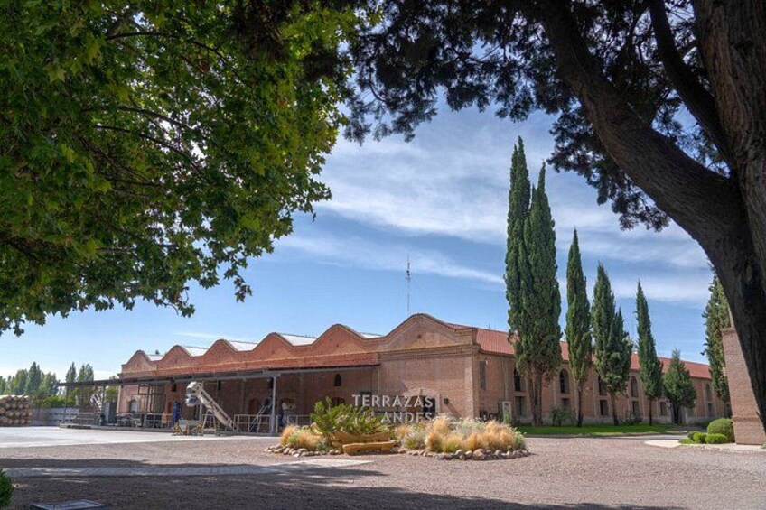 Full Day Private Guided Tour of Vinicolas de Mendoza 2