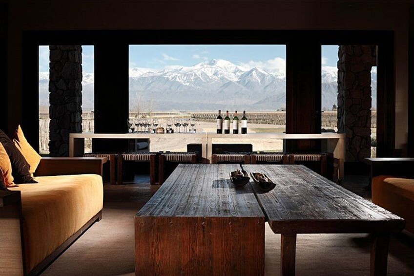 Full Day Private Guided Tour of Vinicolas de Mendoza 4