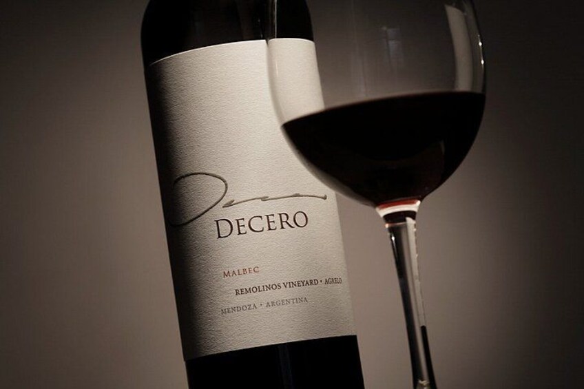 Full Day Private Guided Tour of Vinicolas de Mendoza 3