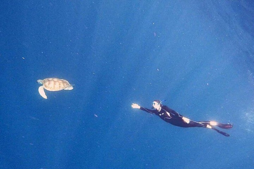 Snorkeling excursion in the Rayas and Turtles Zone 3