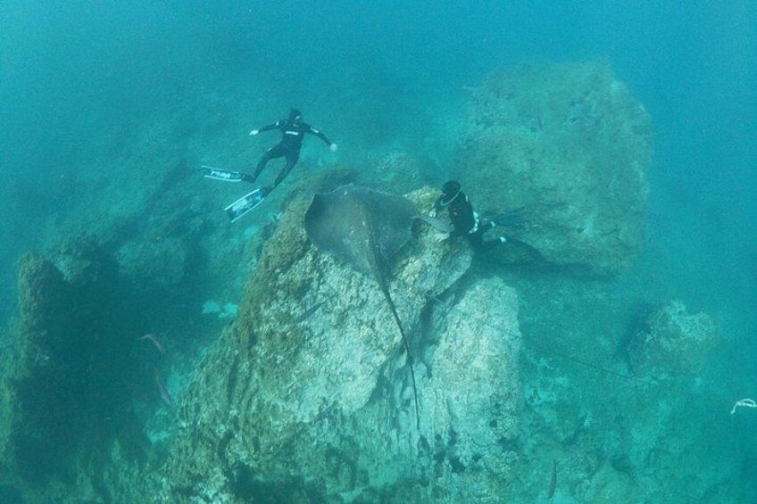Snorkeling excursion in the Rayas and Turtles Zone 4