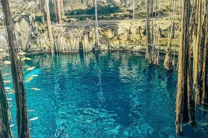Ein klares, blaues Schwimmbecken, umgeben von felsigem Gelände und Baumstümpfen. 3