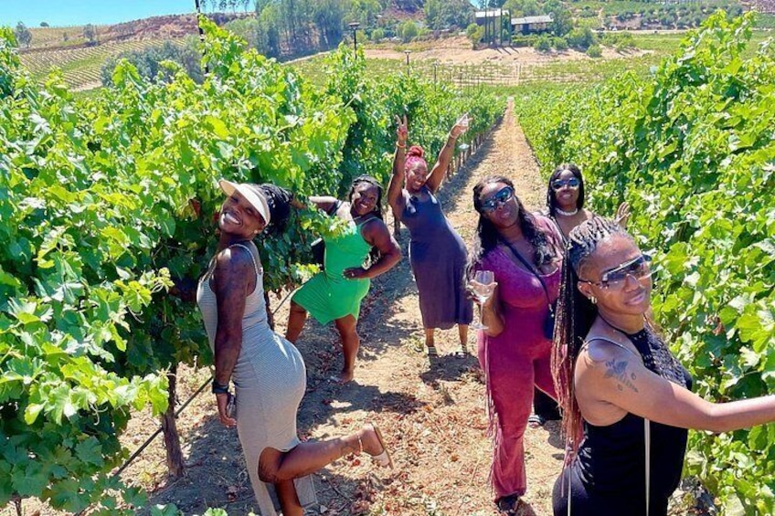 Temecula Wine Tour Voted Best! 3