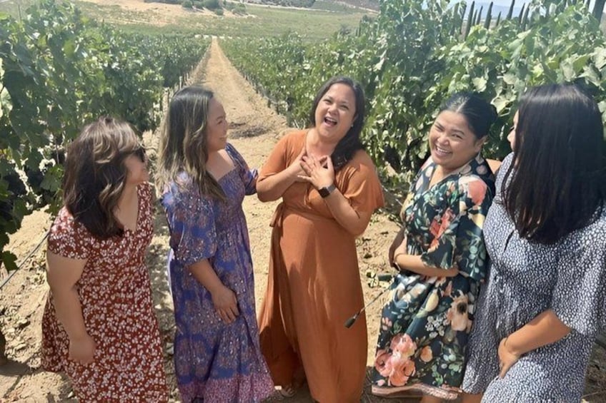 Temecula Wine Tour - Temecula's only Luxury Trolleys! 3