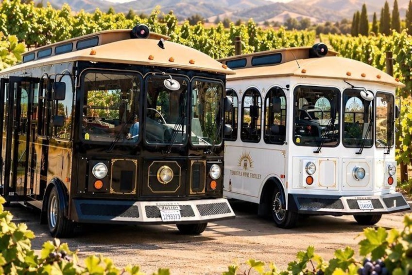 Temecula Wine Tour Voted Best! 1