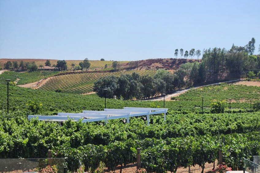 Top rated Wineries ! Breath Taking Views! 2