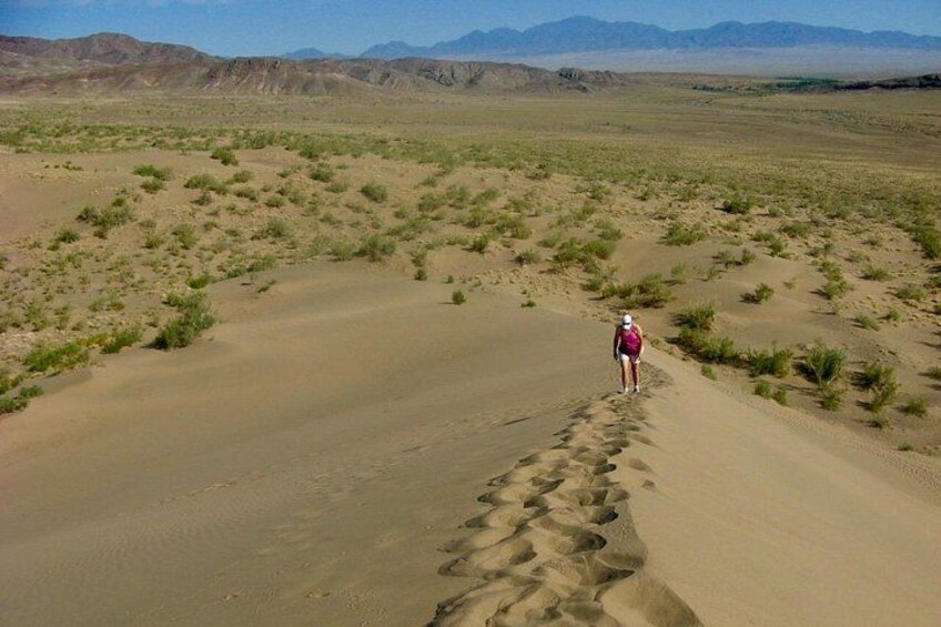 A person walking on a sandy desert path with sparse vegetation and distant mountains. 3