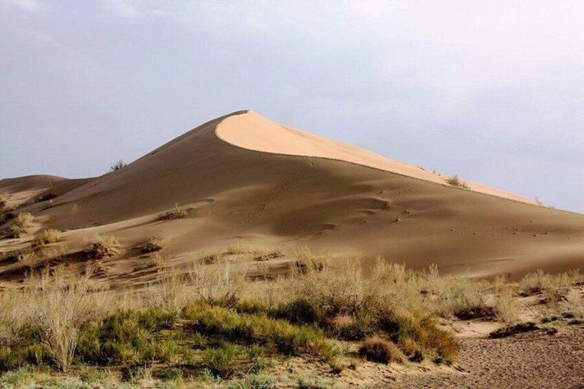 Altyn Emel Desert Escape: 2-Day SUV Tour to Singing Dune & Aktau 2