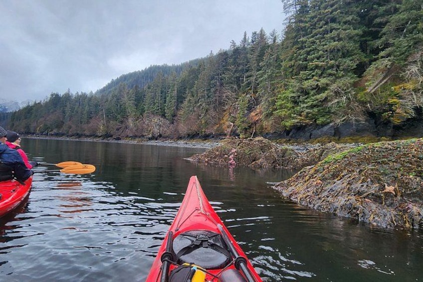 A river with kayaks and a forested hillside. 2