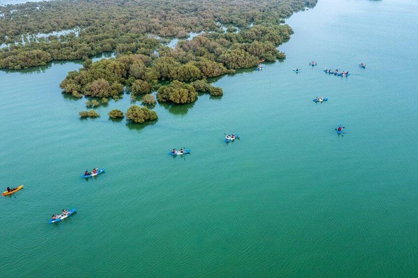 A group of kayaks on a calm body of water surrounded by dense forest. 5