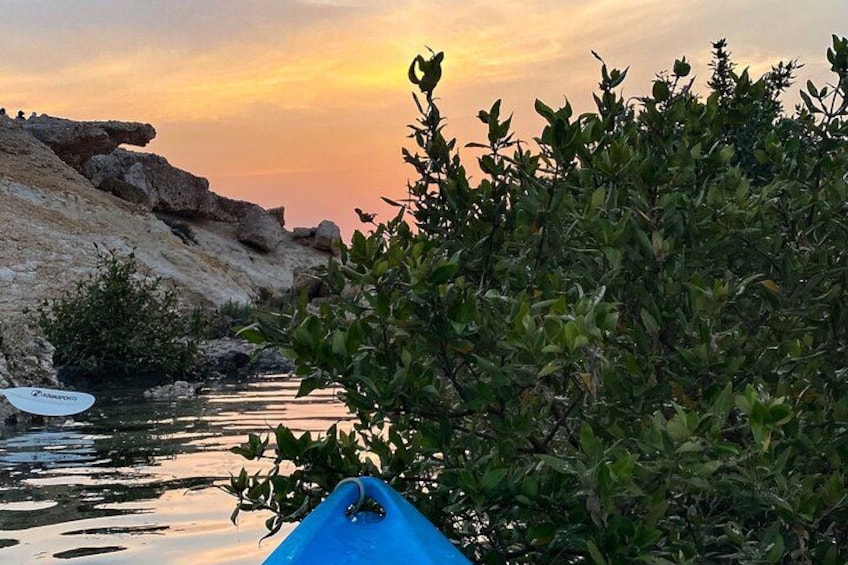 A blue kayak on calm water with a rocky shoreline and dense foliage in the foreground. 3