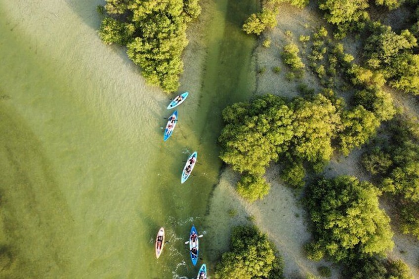 An aerial view of a beach with several kayaks and a surfboard. 2