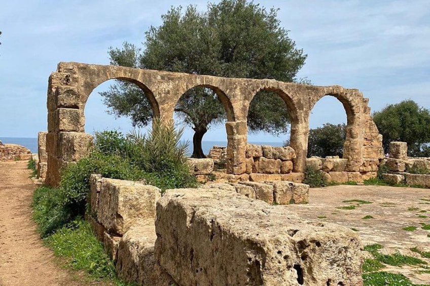 Private Day Tour to the Roman Ruins of Tipaza 1