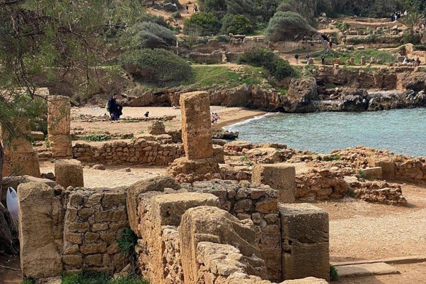 Private Day Tour to the Roman Ruins of Tipaza 5