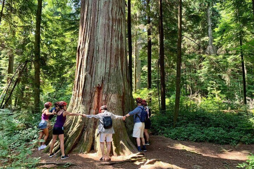 Stanley Park 1